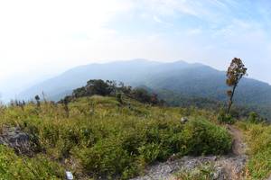 BIB: 
                            <button type="button" onclick="openModal(13605304)" class="btn btn-primary btn-sm float-right btn-popup" data-toggle="modal" data-target=".modal-high-quality">
                        <i class="fas fa-shopping-cart"></i> Add to Cart
                    </button>
                                            <button type="button" onclick="isThisMe(13605304, true)" class="btn btn-success btn-sm float-right btn-popup btn-isme hidden" data-toggle="tooltip" data-placement="bottom" title="นี่คือรูปของคุณใช่ไหม คลิกที่นี่เพื่อเอาเข้าอัลบั้ม">
                        <i class="fas fa-plus"></i> Add to album
                    </button>
                    <button type="button" onclick="isThisMe(13605304, false)" class="btn btn-warning btn-sm float-right btn-popup btn-isnotme hidden">
                        <i class="fas fa-ban"></i> Remove from album
                    </button>